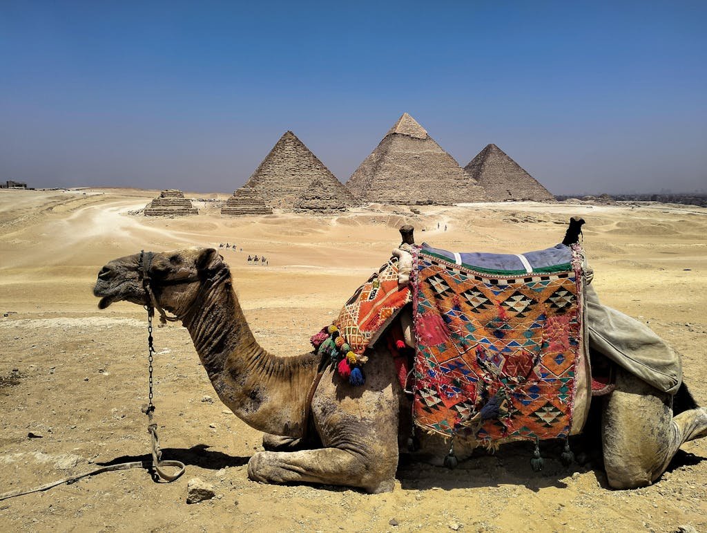 viaje a egipto, ver el cairo y crucero por el nilo