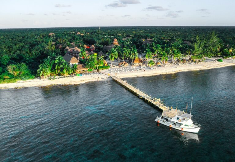 A serene aerial shot of a tropical beach in San José, Mexico, highlighting a pier, boat, and lush palm trees.
