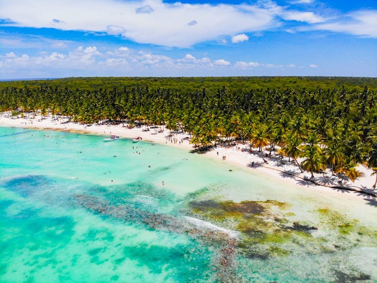 Drone view exotic forested beach with sunbathing and swimming tourists near magnificent blue warm sea on sunny clear weather